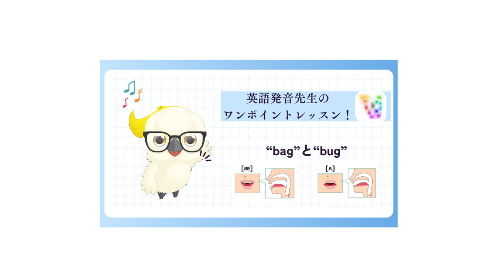 英語発音先生のワンポイントレッスン"bag"と"bug"の母音の違いで意味が異なってしまいます。伝わる英語をチェックしましょう。